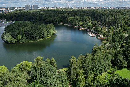 В парке на востоке Москвы произошел пожар