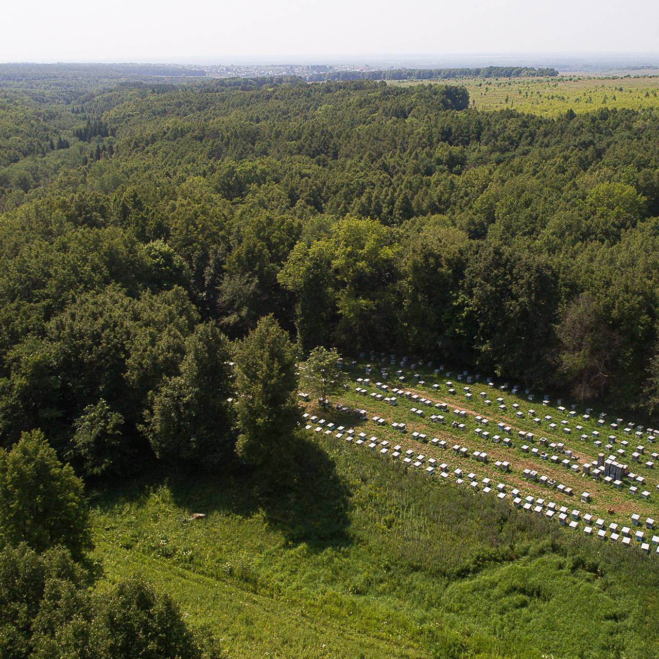 &laquo;Башнефть&raquo; отчиталась об инвестициях в природоохранные проекты за полугодие