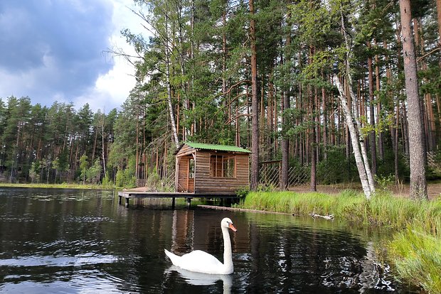 Вводная картинка