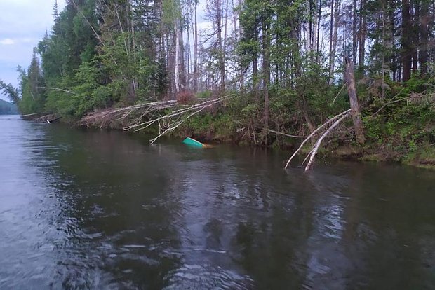 Вводная картинка