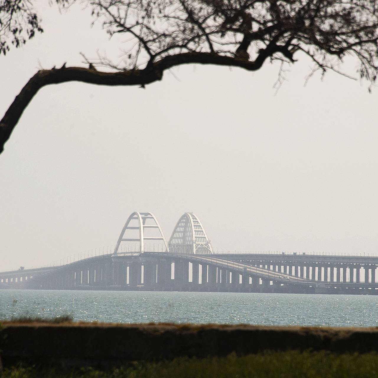 Фото: Дмитрий Макеев / РИА Новости