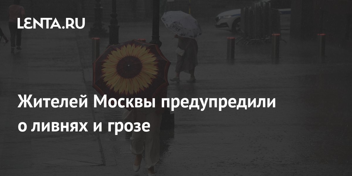 Жителей Москвы предупредили о ливнях и грозе: Общество: Россия: Lenta.ru