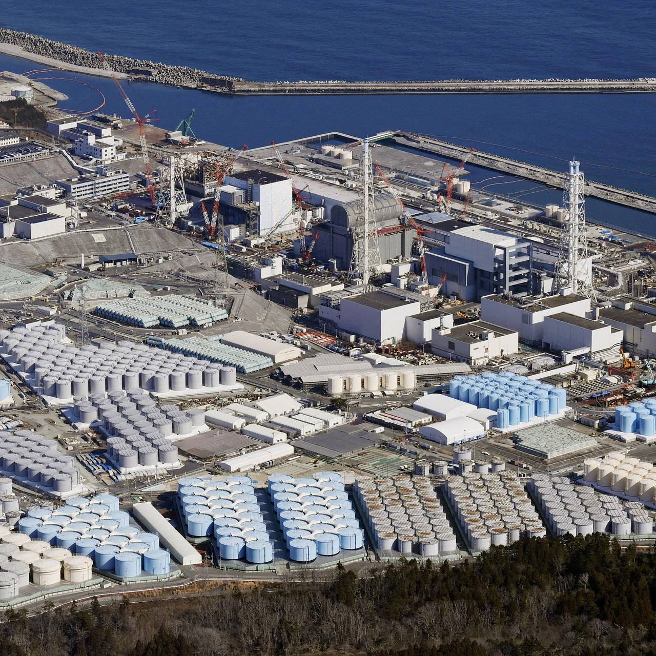 Фото: Kyodo / Reuters