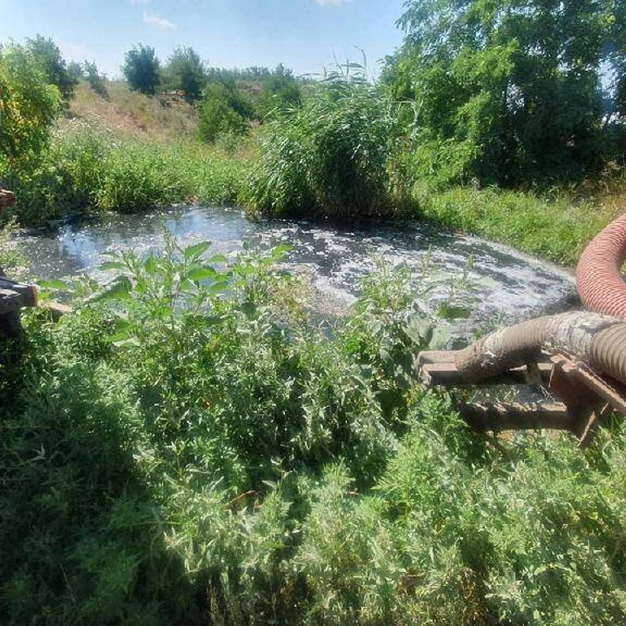 В российском регионе появилось озеро из нечистот | Климат и экология