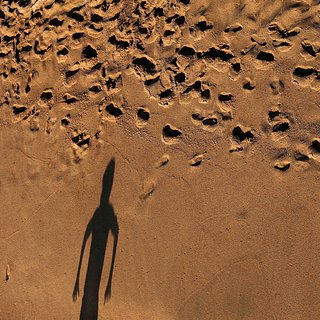 Июль 2023 года оказался самым жарким за всю историю наблюдений