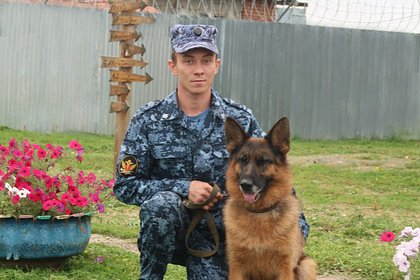Российский кинолог и его собака спасли увязшего в болоте подростка