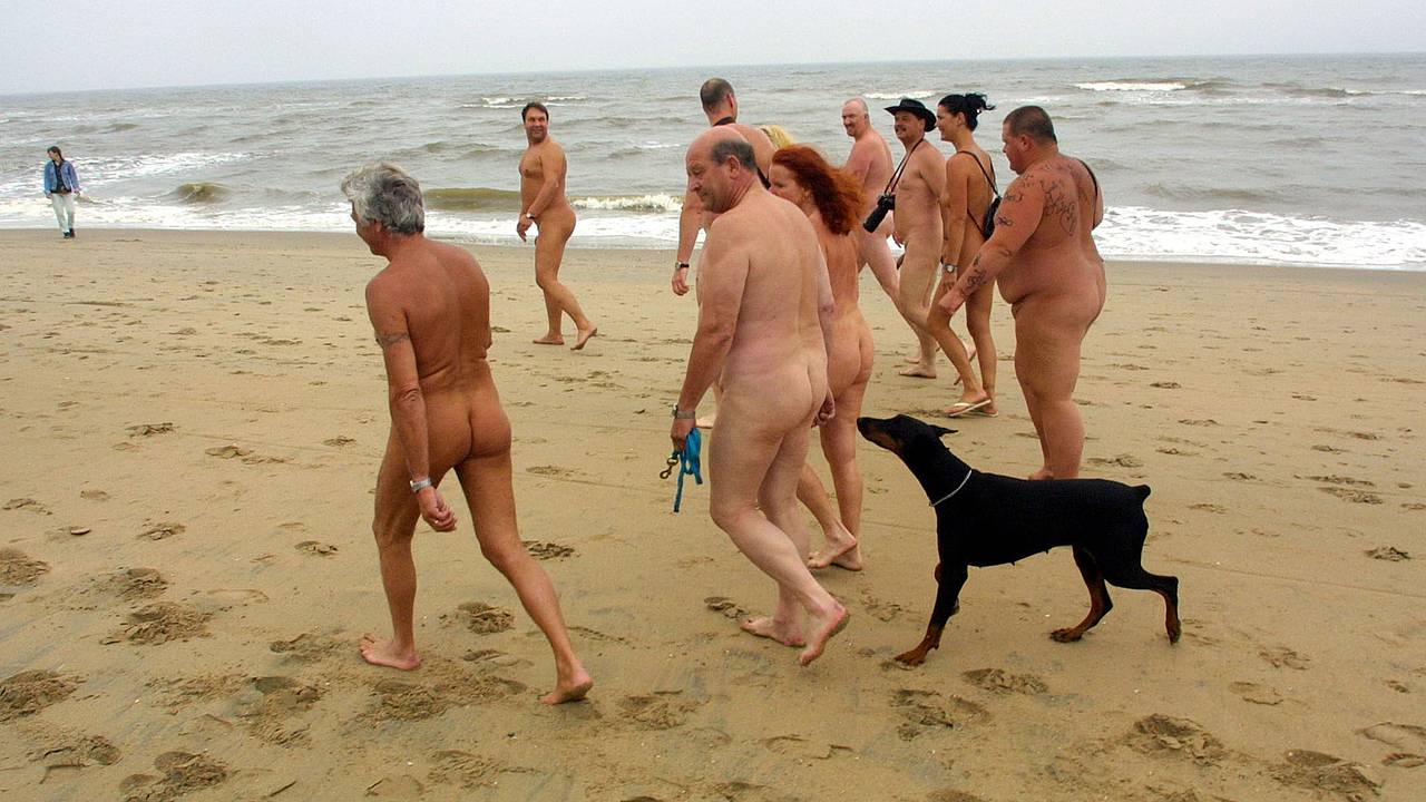 Голые девушки на нудистском пляже