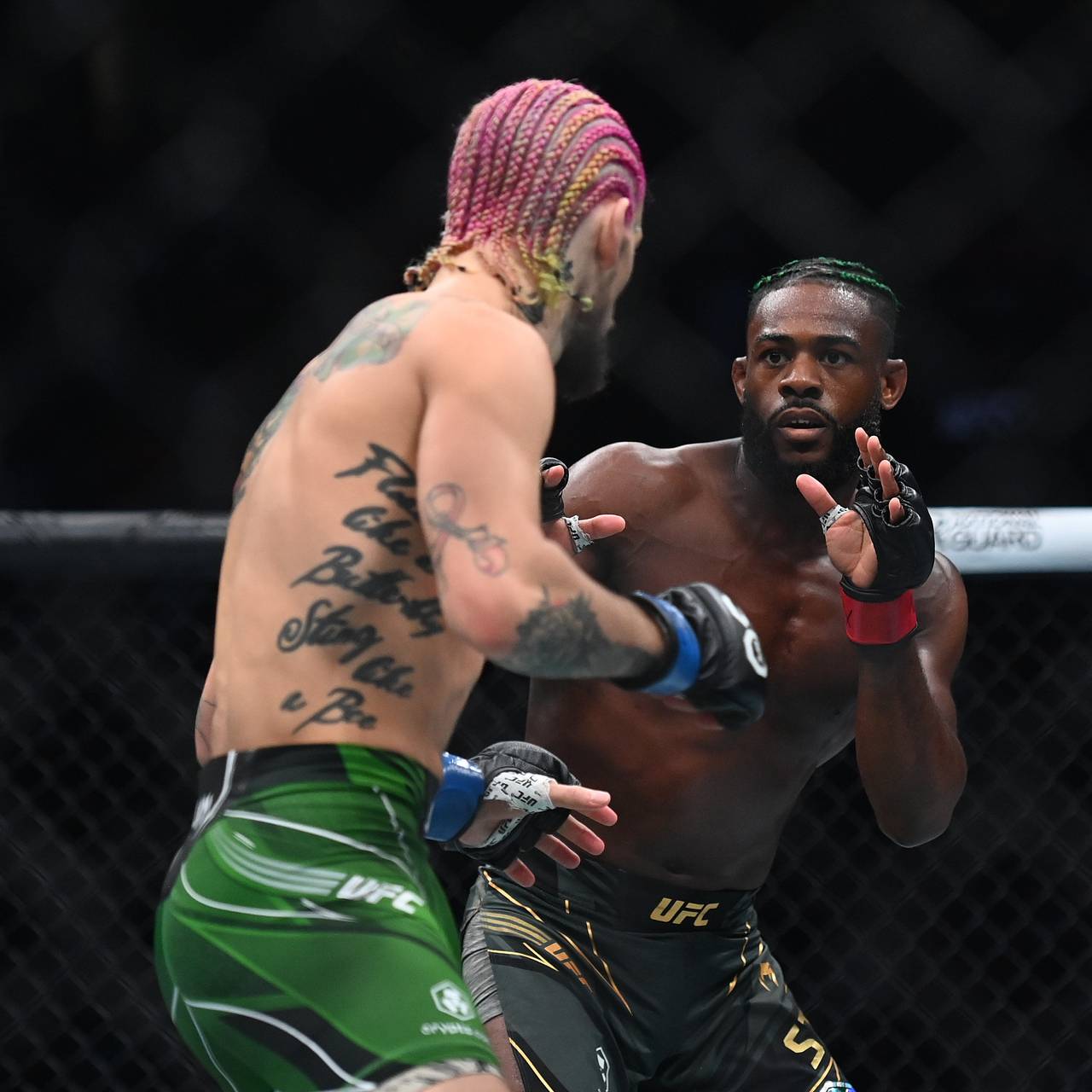 О мэлли в юфс. О мэлли в юфс. Шон о мэлли против. О мэлли ufc. О мэлли в юфс.