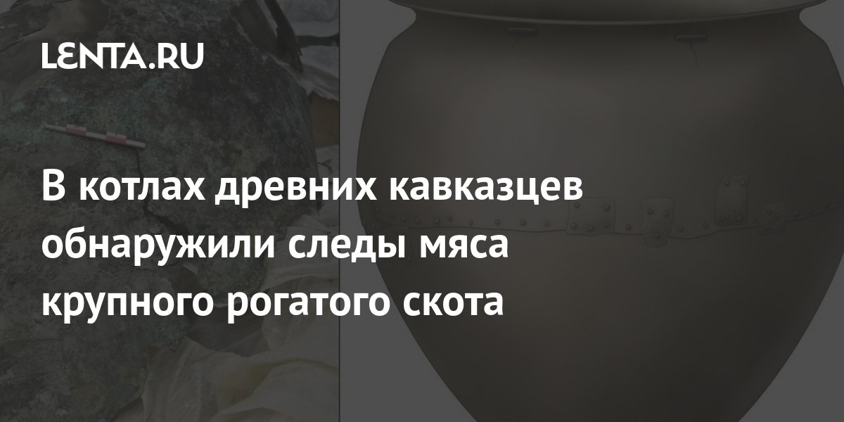 В котлах древних кавказцев обнаружили следы мяса крупного рогатого ...