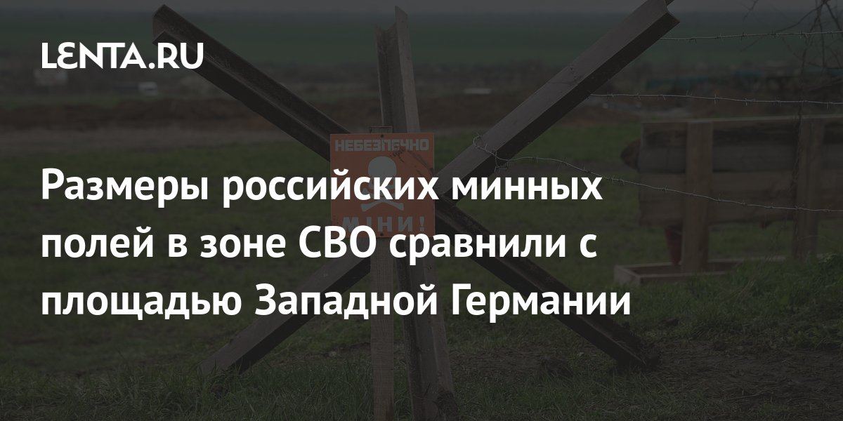 Бербок сравнила общую площадь минных полей ВС РФ с размерами Западной Германии