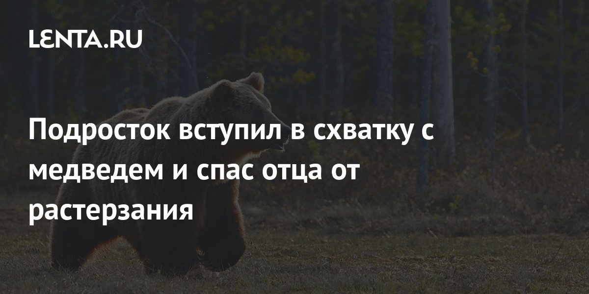 Подросток вступил в схватку с медведем и спас отца от растерзания ...