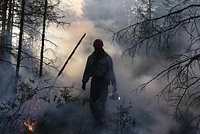 Лесные пожары в России начались раньше обычного. Как с ними стали бороться?