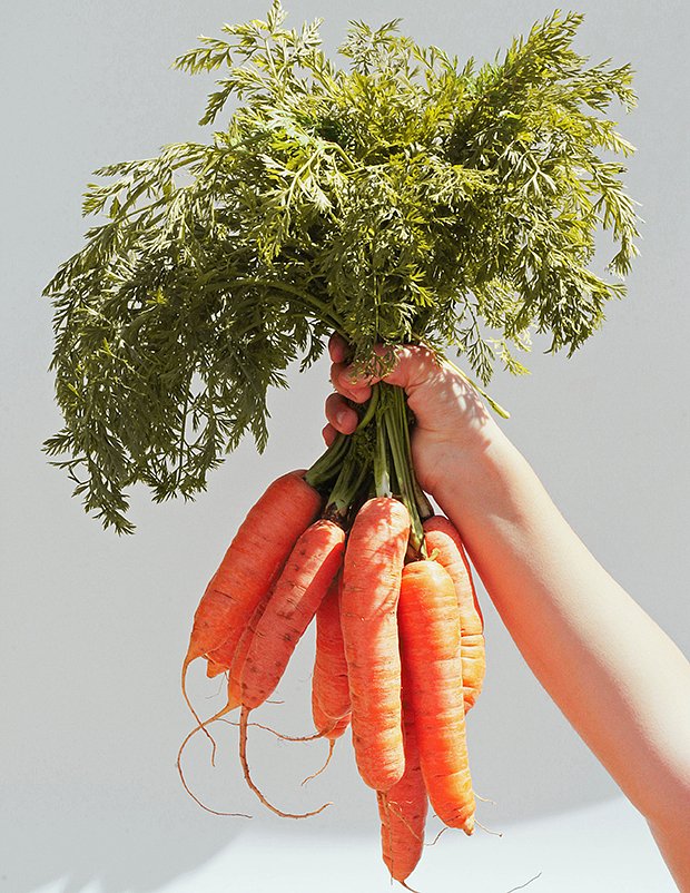 Морковь: как вырастить крупную и сладкую?