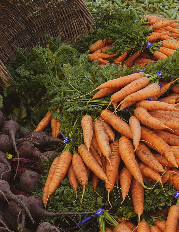 Морковь из картона и бумаги: поделки овоща в разных техниках