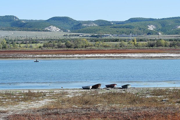 Вводная картинка