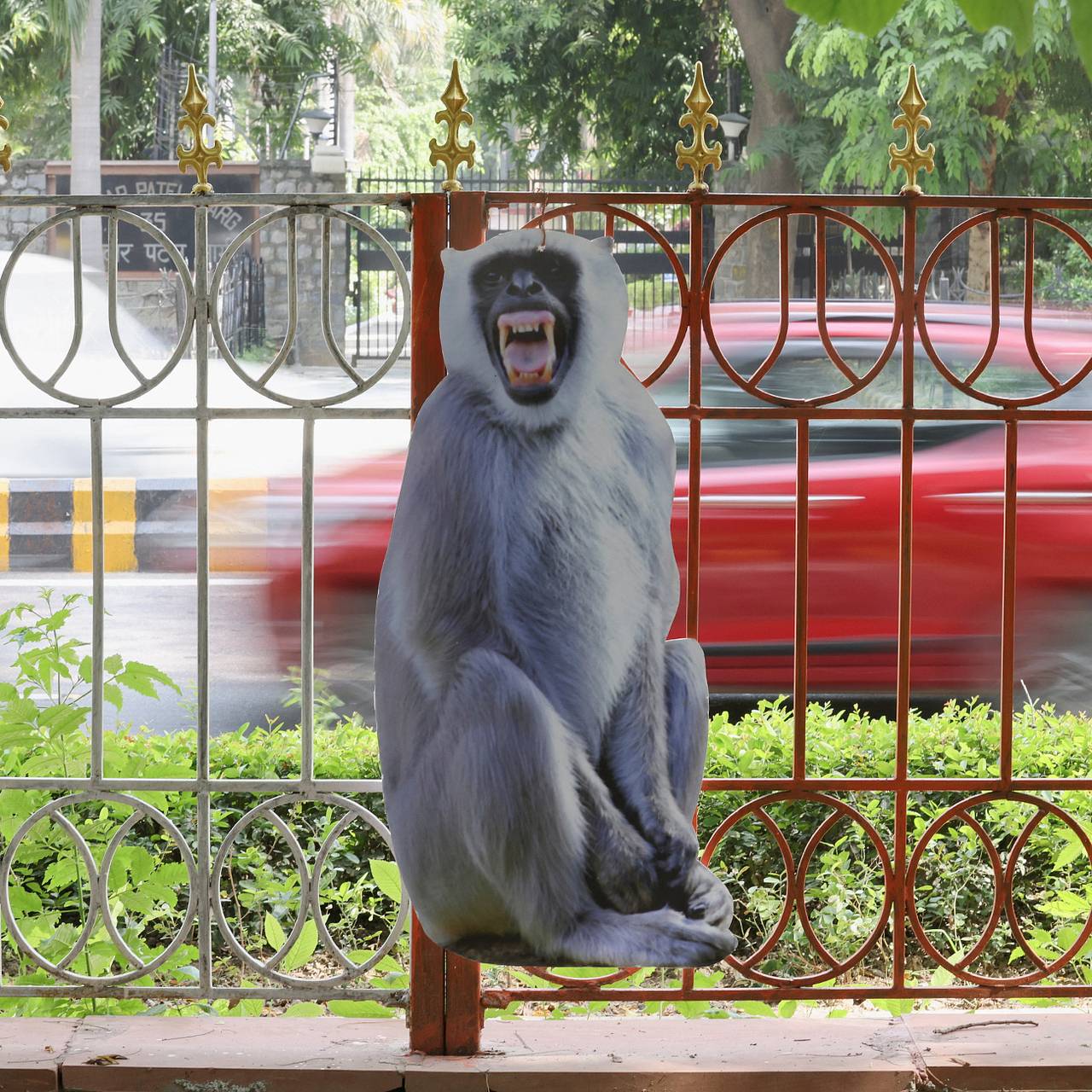 Прикольные и смешные обезьяны (33 фото)