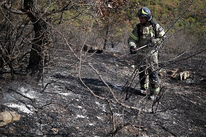 Крупный лесной пожар в Геленджике локализовали спустя более чем сутки