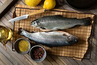 Как засолить форель в домашних условиях? 6 рецептов вкусной слабосоленой рыбы