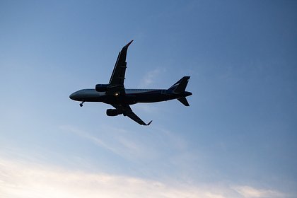 Властям России предложили отказаться от «паритета» в авиации