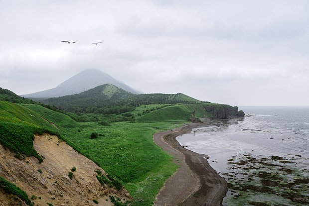 Вводная картинка