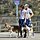 Leonardo DiCaprio And Camila Morrone Are Spotted Hiking With Their Dogs In Los Angeles.
2020-07-22

