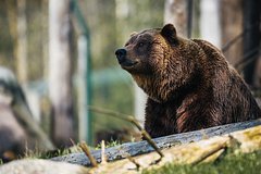 Архивное фото