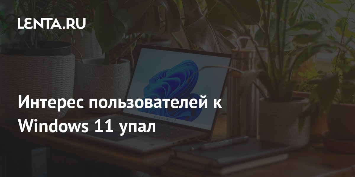 Интерес пользователей к Windows 11 упал: Софт: Наука и техника: Lenta.ru