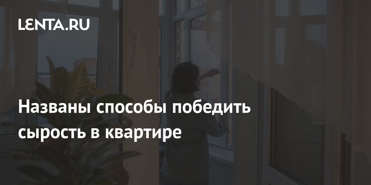 Названы способы победить сырость в квартире: Дом: Среда обитания: Lenta.ru