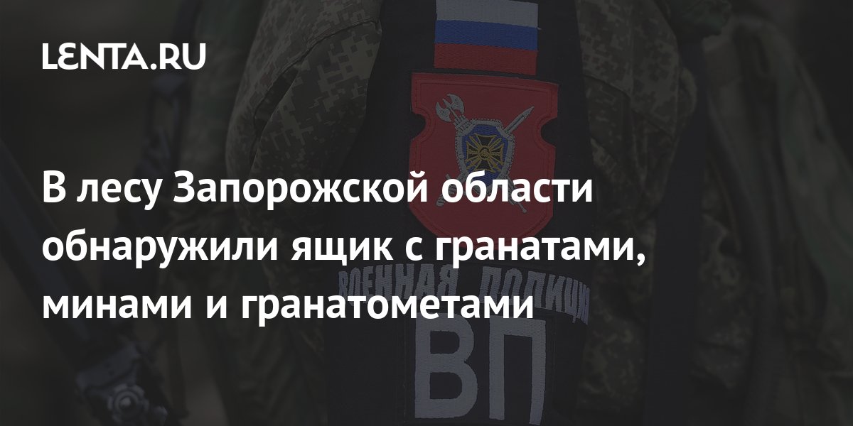 В лесу Запорожской области обнаружили ящик с гранатами, минами и ...