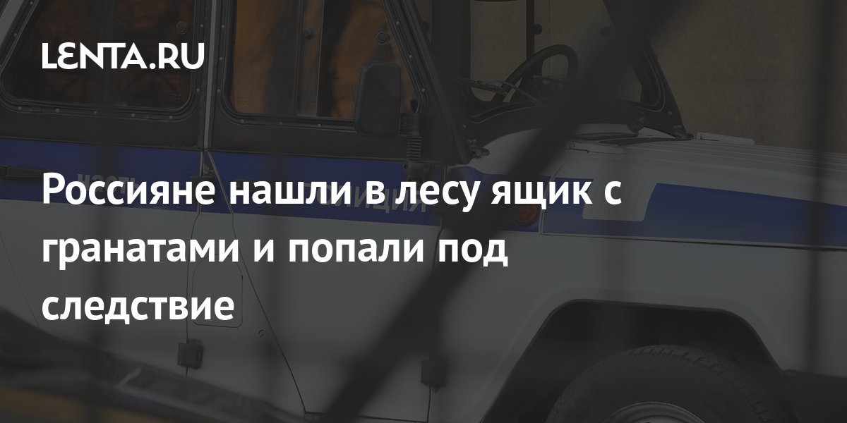 Россияне нашли в лесу ящик с гранатами и попали под следствие ...