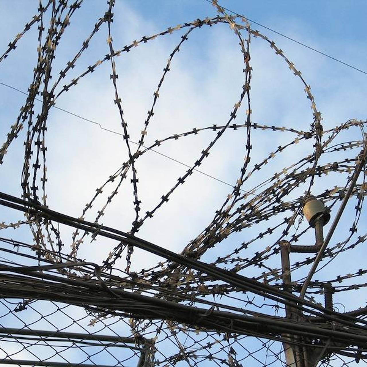 Фото: Павел Лисицын / Коммерсантъ