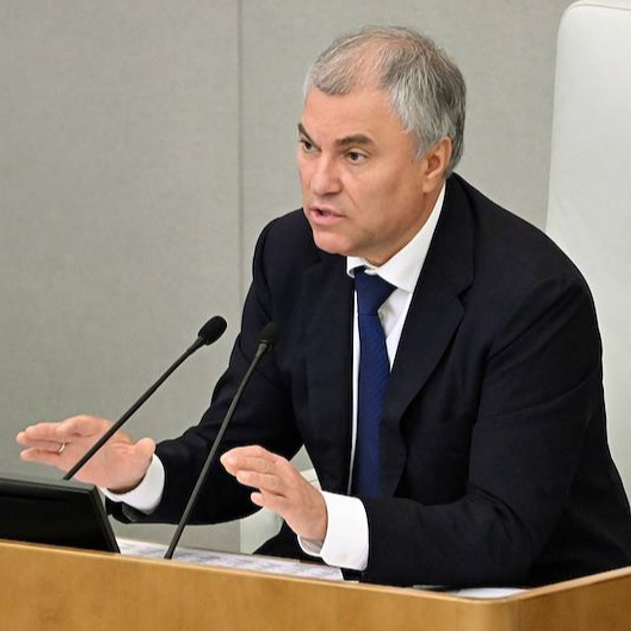 Володин указал на упущенные ЕС возможности для сотрудничества с Россией Госэконо