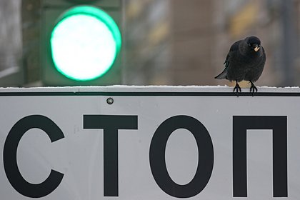 Знак «Стоп» появился посреди тротуара и разозлил россиян