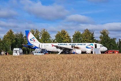 Picture: Пассажирский самолет «Уральских авиалиний» совершил аварийную посадку в поле. Почему подвиг пилотов назвали чудом?