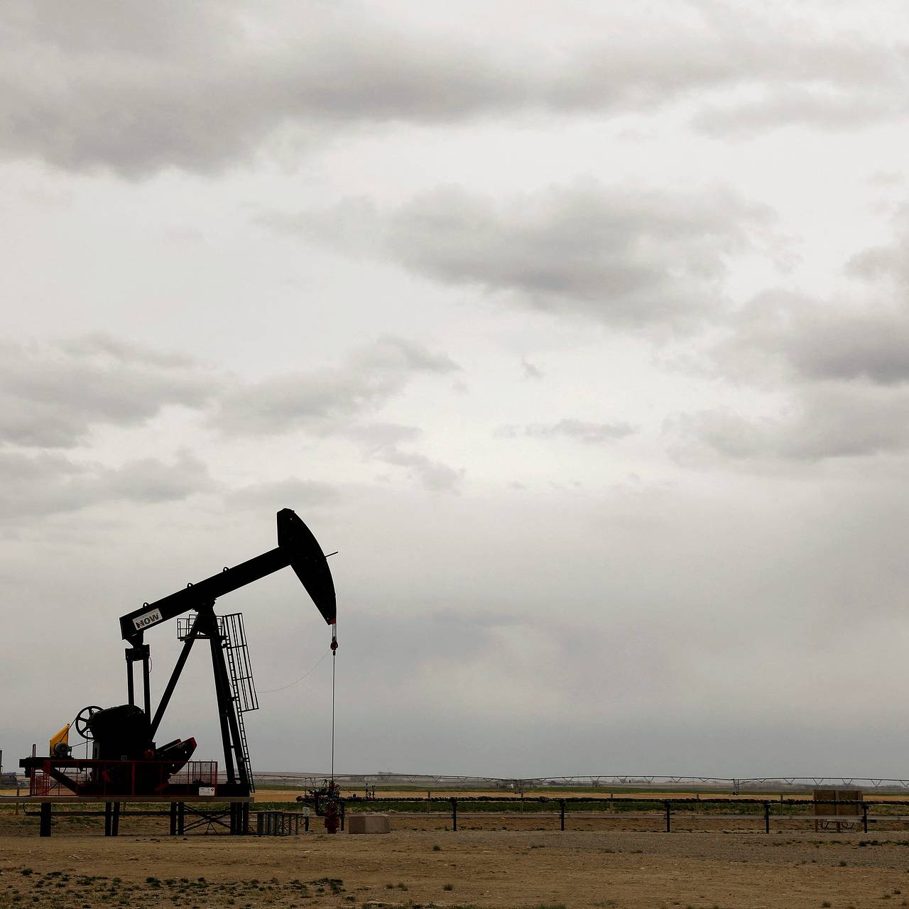 Фото: Todd Korol / Reuters