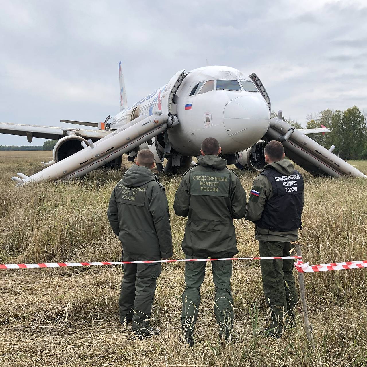 Посадивший самолет на кукурузном поле пилот прокомментировал подвиг экипажа  A320: Россия: Путешествия: Lenta.ru