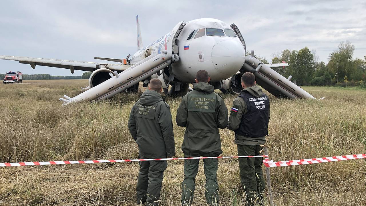 Посадивший самолет на кукурузном поле пилот прокомментировал подвиг экипажа  A320: Россия: Путешествия: Lenta.ru