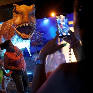 Обнаружен древнейший вымерший хищник Южной Америки