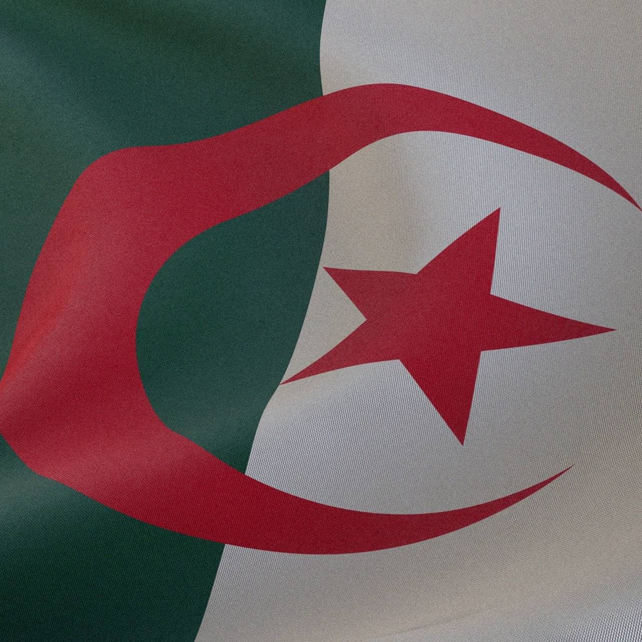 Стоковые фотографии по запросу Флаг алжира