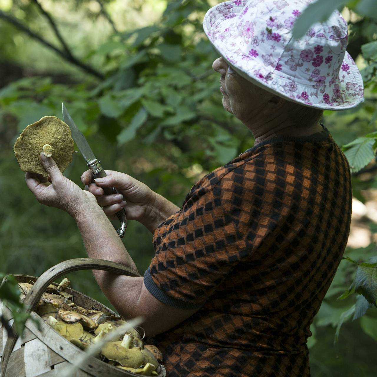Фото: Nikolay Gyngazov / Globallookpress.com