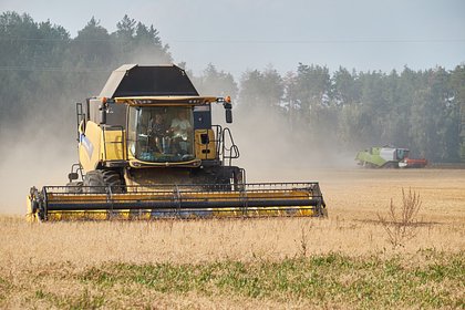 Picture: Польша пригрозила ввести бессрочное эмбарго на украинское зерно