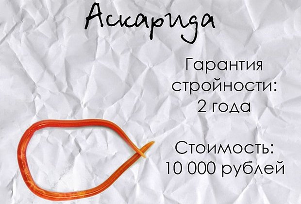 Объявление о продаже ленточных червей в интернете