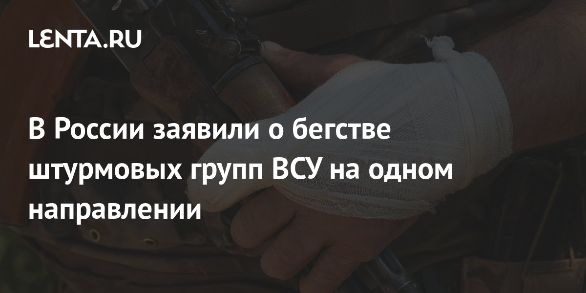 В России заявили о бегстве штурмовых групп ВСУ на одном направлении ...