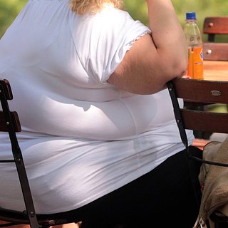 Определены эволюционные механизмы развития ожирения