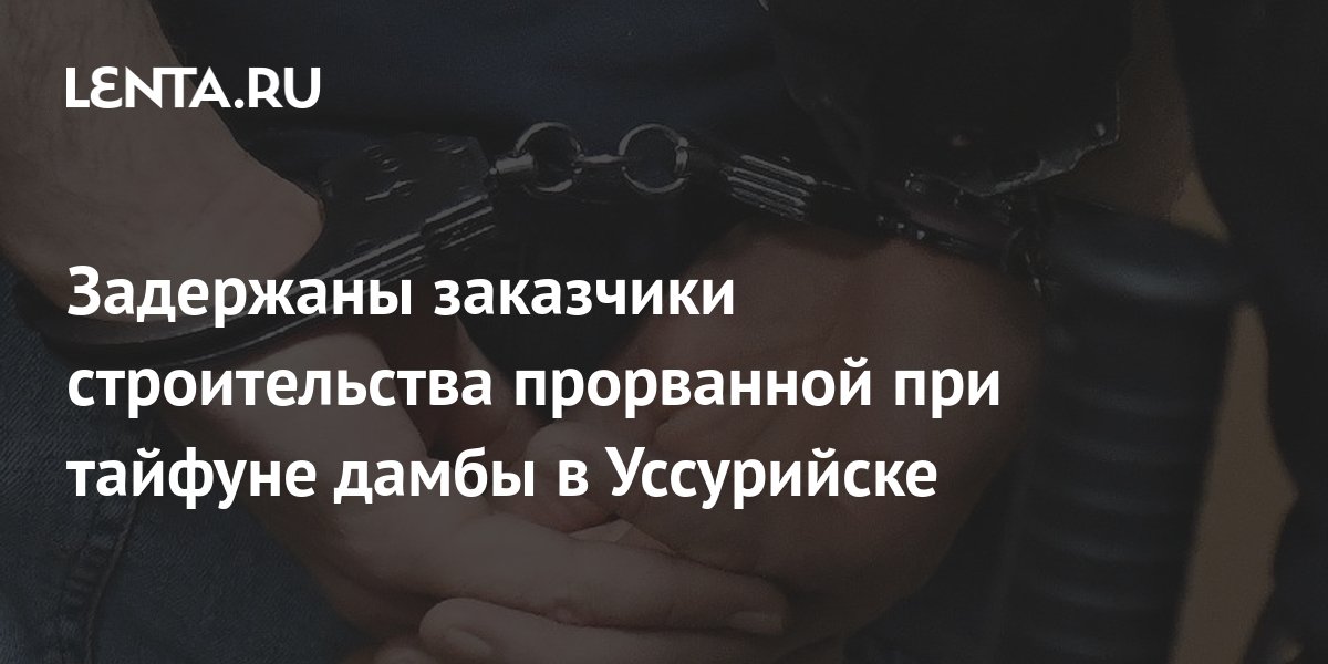 Задержаны заказчики строительства прорванной при тайфуне дамбы в ...