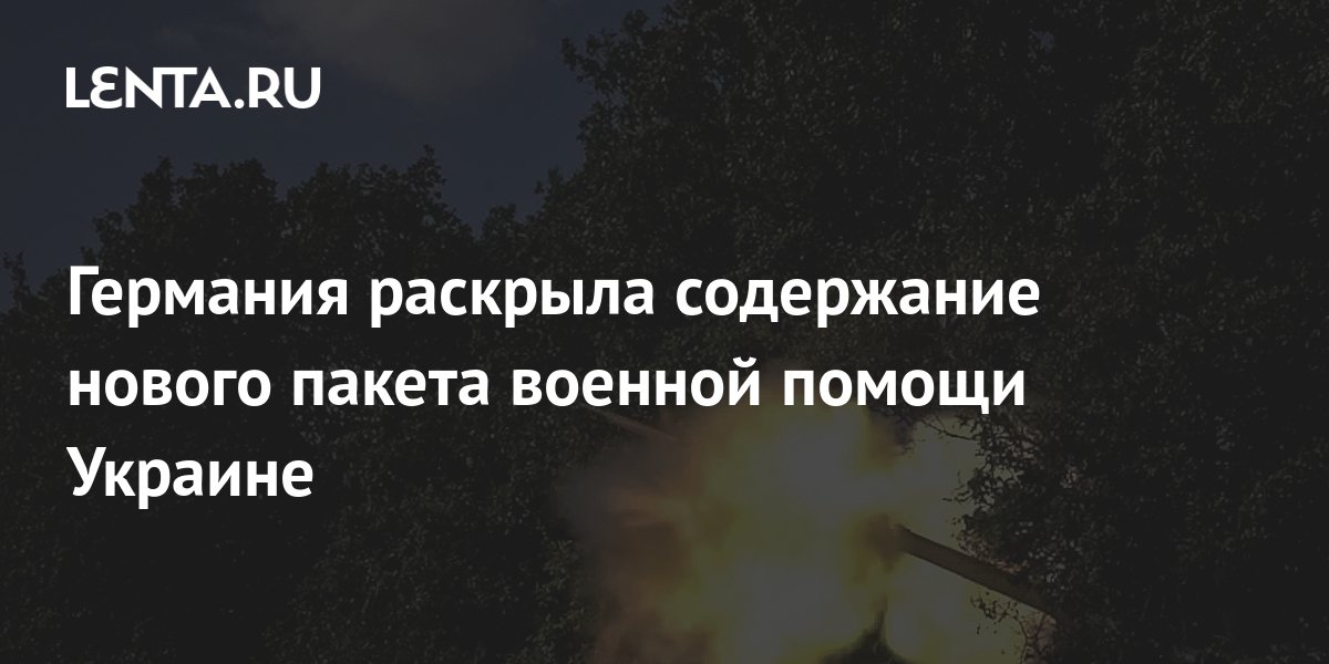 Германия раскрыла содержание нового пакета военной помощи Украине ...