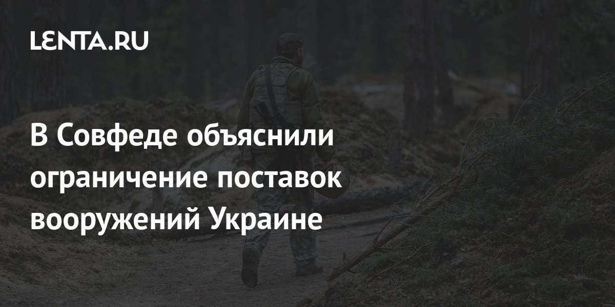 The Federation Council explained the restriction of arms supplies to