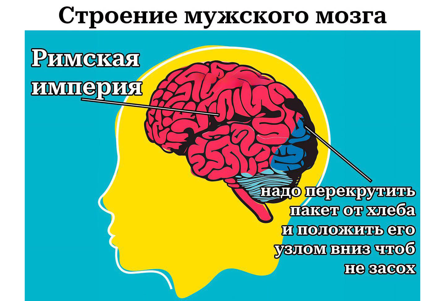 Почему мужчины так часто думают о Римской империи: откуда взялся мем,  правда или нет: Мемы: Интернет и СМИ: Lenta.ru