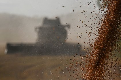 В ООН сообщили о намерении восстановить зерновую сделку