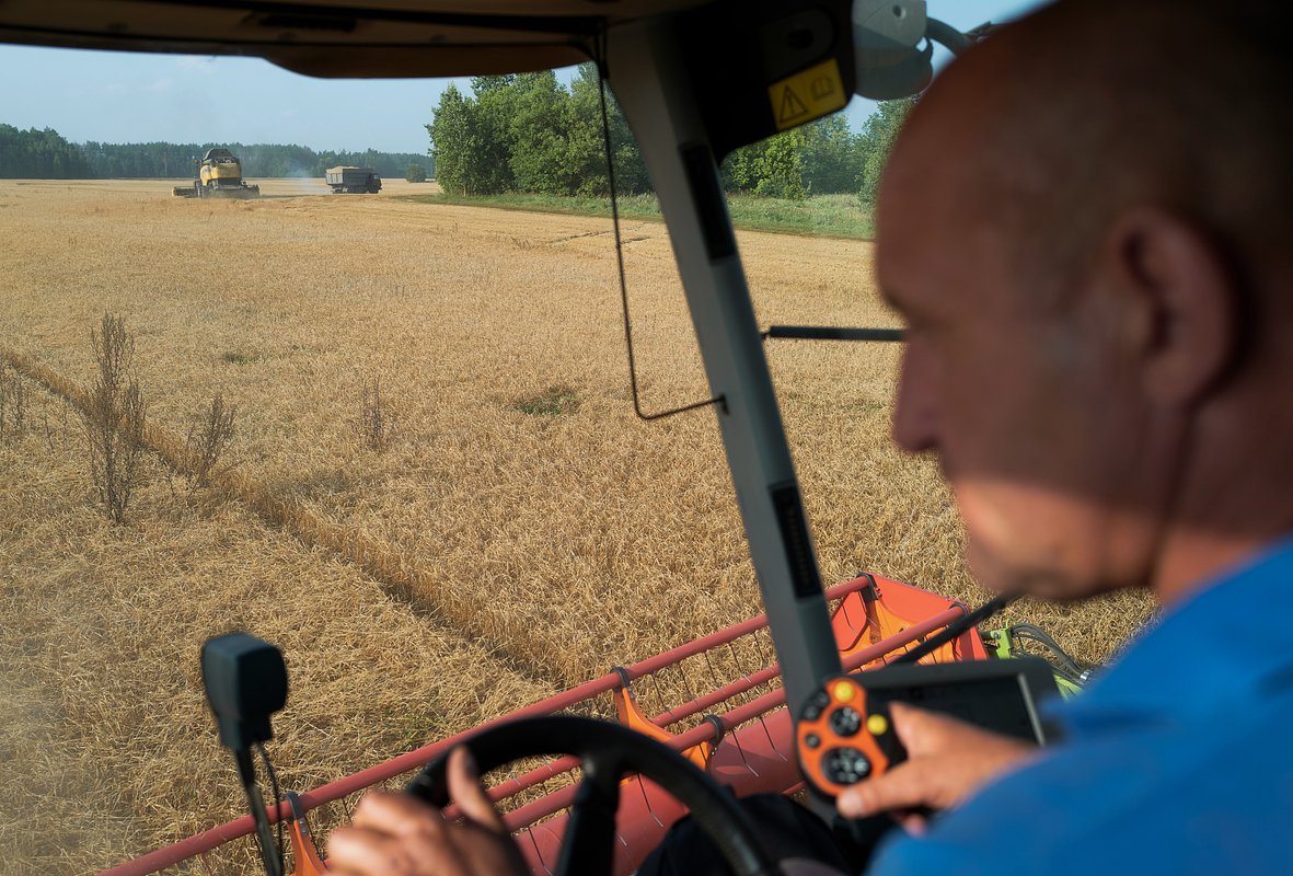 Фермеры собирают урожай ячменя в Черниговской области, 30 августа 2023 года 